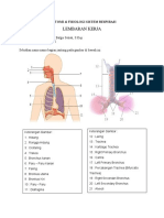 14 Juli Anatomi Fisiologi Sistem Respirasi