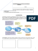 Ciencias Naturales - Guía N°2 - 6° Básico