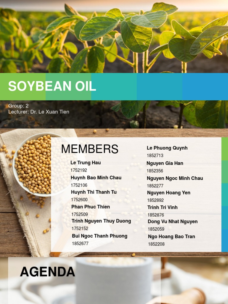 An InDepth Look at the Soybean Oil Production Process PDF Soybean