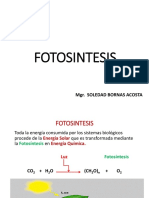 FOTOSÍNTESIS