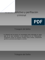 Análisis Delictivo y Perfilación Criminl 3 Si