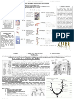 Actividad 2 Primer Año 2022 Origen