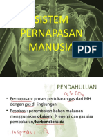 Sistem Pernapasan Manusia