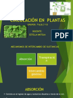 Diapositivas - Circulación en Plantas