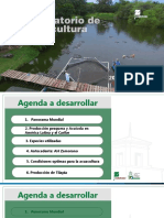 3. Produccion de Tilapia (Con Formato)