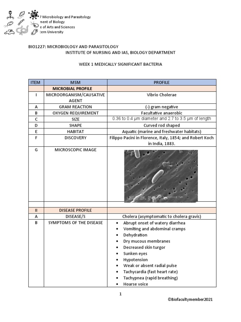 Vibrio Cholerae Pdf Cholera Health Sciences