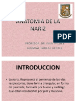 Anatomia de La Nariz