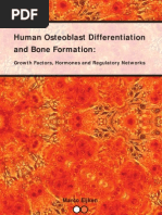 Download Osteoblastthesis by Amira Mohsen SN58779008 doc pdf