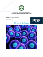 Fisiologia 2