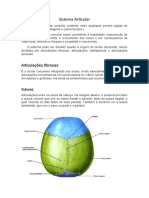 Sistema Articular