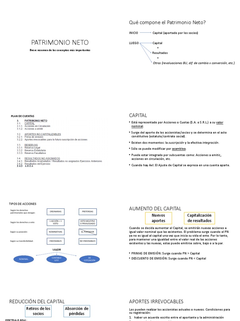 Patrimonio Neto | PDF | Valor neto | Compartir (Finanzas)