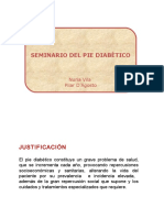 Seminariopiediabetico 131211123510 Phpapp01