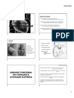 Fisiologia cardiovascular: componentes, circulação e atividade elétrica do coração