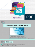 Estrutura Do DNA e RNA