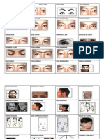 Caracteristicas Del Rostro