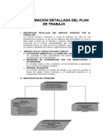 Plan de Trabajo Leon Yauli