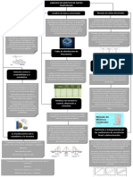 Mapa Conceptual