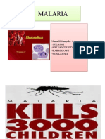 Cara Mengobati Malaria Secara Alami dan Medis