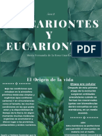 Procariontes y Eucarientes