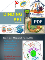 Dinding Sel