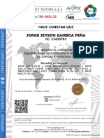 Certificado Equipos Levantamiento Mecanico de Cargas y Personas JORGE GAMBOA CER - 0031-22