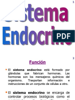 Sistema Endocrino