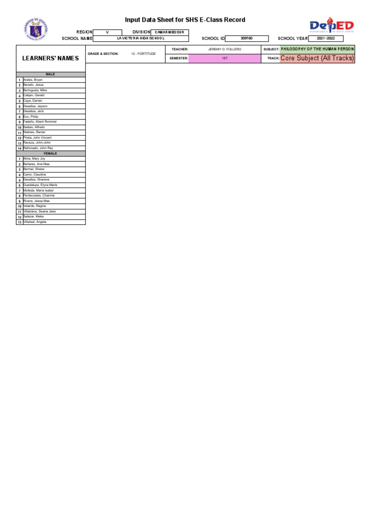 Input data sheet for shs e class record learners names pdf