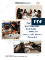 Cartilla - Planificación Curricular - Ebe - Final