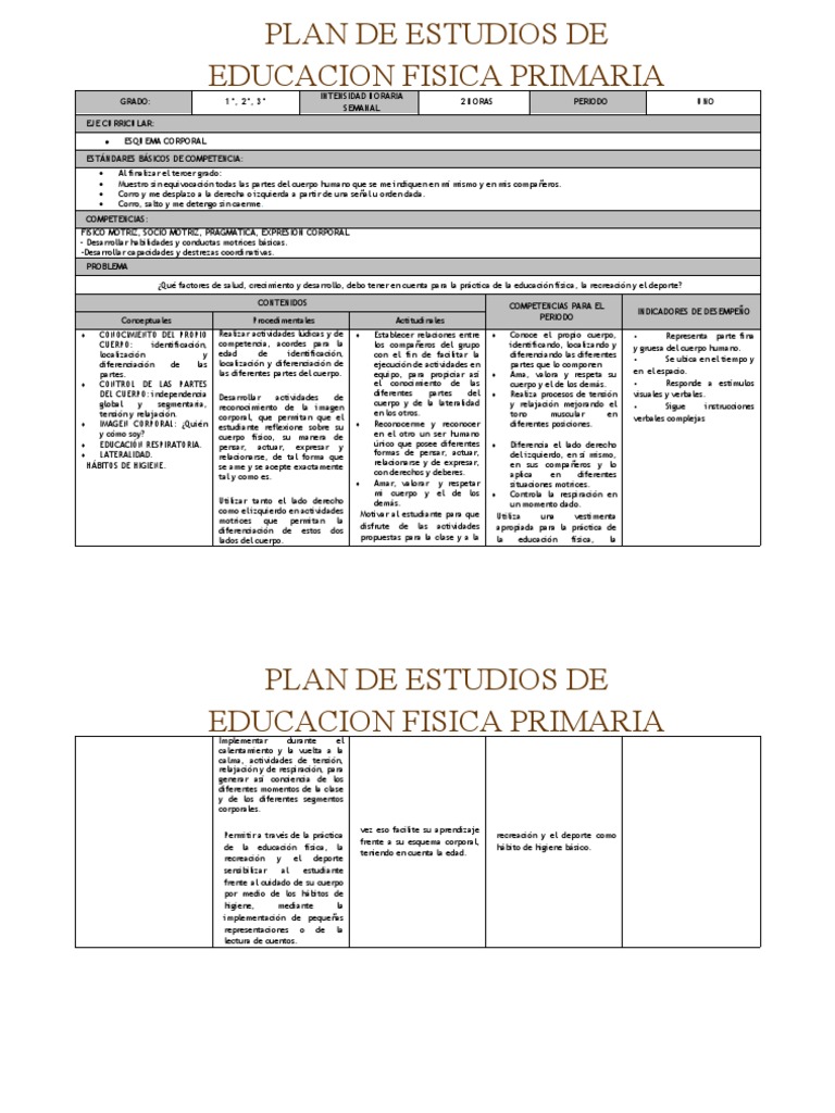 Formato ED. FISICA | PDF | Plan de estudios | Evaluación