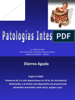 Patologias Intestinales