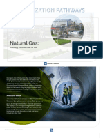 EPI - Decarbonization Pathways Nat Gas 071222