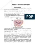 Fisiopato - Diabetes Mellitus