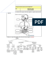 Sistematizacion de La Digestion para El Cuaderno Cuaderno 11-08-.2022