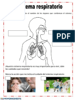 Observa La Figura y Escribe El Nombre de Los Órganos Que Conforman El Sistema Respiratorio