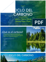 Ciclo Del Carbono