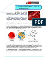 Lectura - 2 - "¿Cuánto Hierro Necesitamos y Por Qué Se Produce La Anemia"