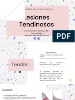 Lesiones Tendinosas