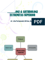 K4 Osteologi & Arthrologi Extr Superior