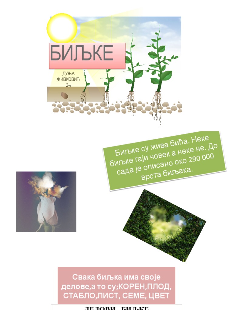 БИЉКЕ | PDF
