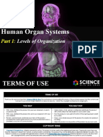 2nd - Human Organ Systems