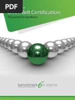 Download Benchmark Six Sigma Green Belt Brochure by Benchmark Six Sigma SN58788973 doc pdf