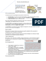 Trauma Craneoncefalico y Musculo Esqueletico