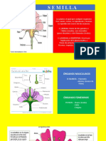 Agrotecnia Clase 3