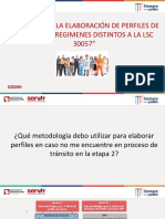 PPT SERVIR_ENAP_webinar_pautas