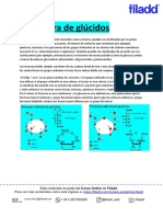 Apunte Estructura de Glucidos