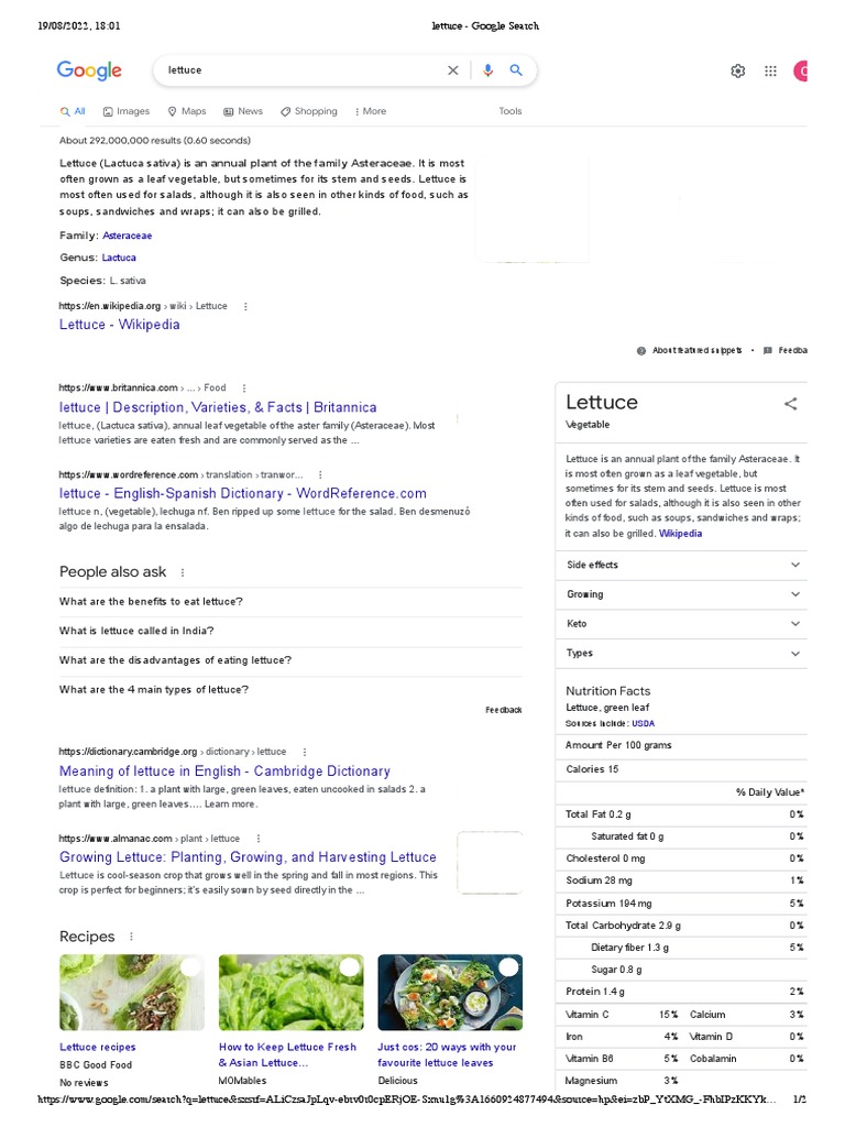 An Overview of Lettuce Its Uses, Nutrition Facts, Growing Methods, and