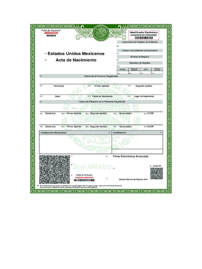 Acta de Nacimiento Para Llenar PDF