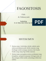 FAGOSITOSIS - DR - Rahmayanti - PPDS IKA