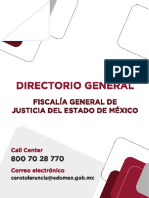 Directorio General FGJEM2022