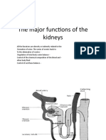 The Major Functions of The Kidneys